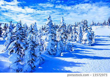 滑雪場 滑雪場 13572973