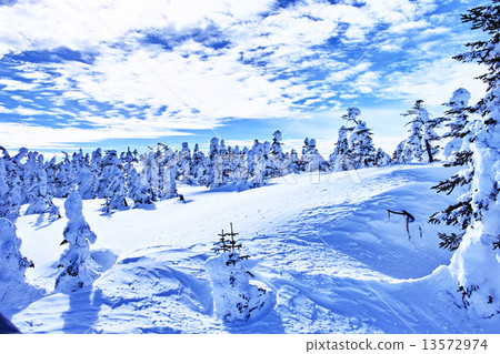 滑雪場 13572974