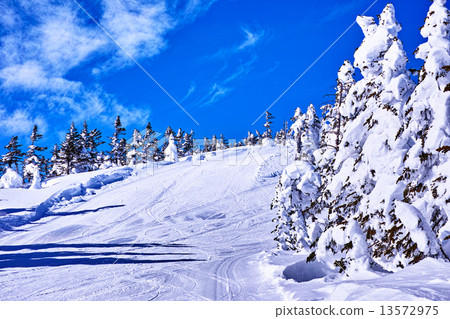 滑雪場 滑雪場 13572975