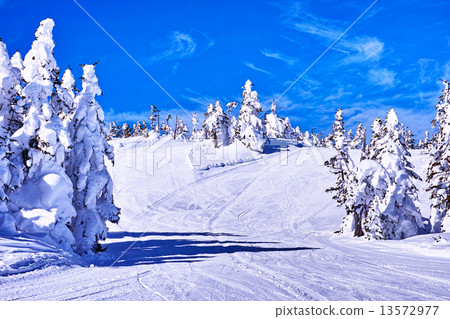 滑雪場 滑雪場 13572977