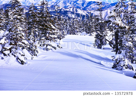 滑雪場 13572978
