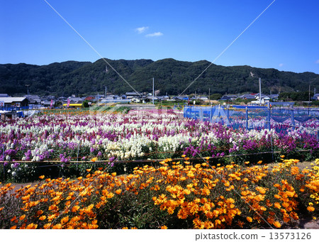 Chikura花園 Chikura花園 13573126