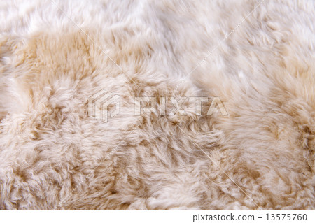 close up texture of fur carpet close up texture of fur carpet 13575760