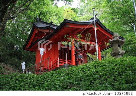 Hakone Shrine (Ku-dragon Shrine / Head Office) Hakone Shrine (Ku-dragon Shrine / Head Office) 13575998