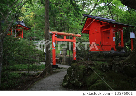 箱根神社(Ku龍神社/總公司) 箱根神社(Ku龍神社/總公司) 13576001