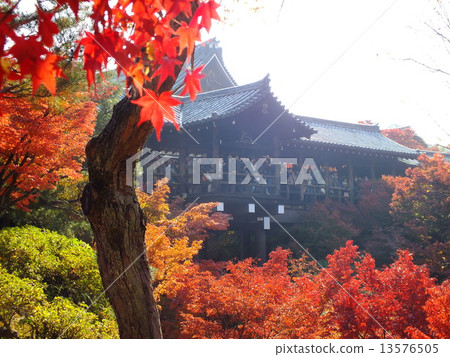 Autumn leaves of Tofukuji 13576505