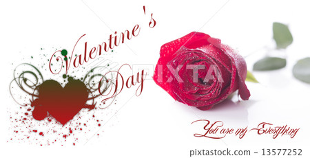 Happy Valentine's Day 13577252