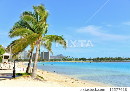 Holidays in Hawaii Holidays in Hawaii 13577618