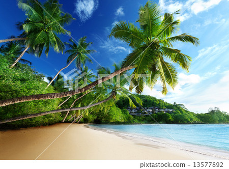 sunset on beach, Mahe island, seychelles sunset on beach, Mahe island, seychelles 13577892