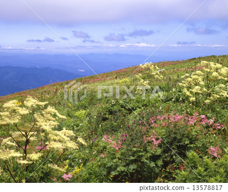 Ibukiyama山上面在夏天 13578817