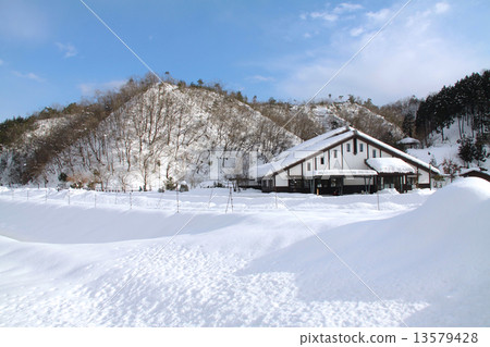 兵庫縣立鸛村公園，鸛“國家指定天然寶藏”和雪景 13579428