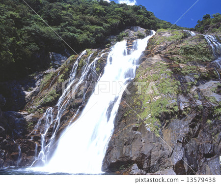 World natural heritage, dynamic Okawa waterfall in Yakushima (O Okutaki) "One hundred Japanese waterfalls" "One hundred Japanese name water" 13579438