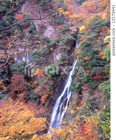 觀音瀑布（Kanba no Taki）和秋葉“100日本瀑布”，“100日本觀”，“國家指定景點” 13579442