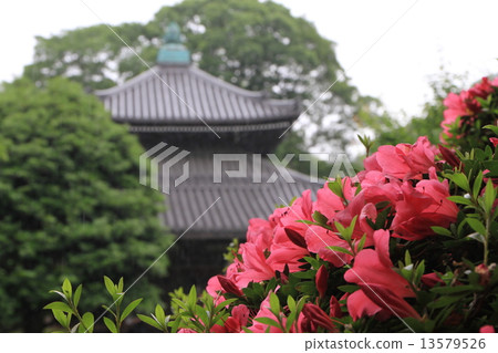 安樂寺 13579526