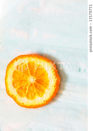 orange slice orange slice 13579751