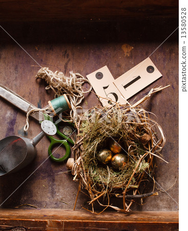 eggs in the nest eggs in the nest 13580528