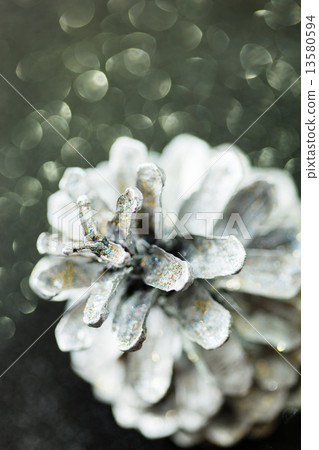 silver cone silver cone 13580594