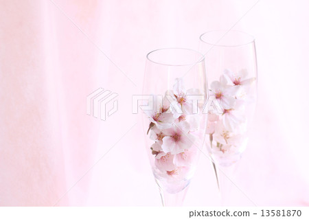 Cherry tree / cocktail glass 2 side 01 Cherry tree / cocktail glass 2 side 01 13581870