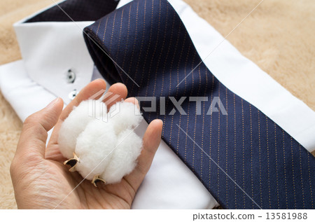 Cotton products and cotton on blankets Cotton products and cotton on blankets 13581988