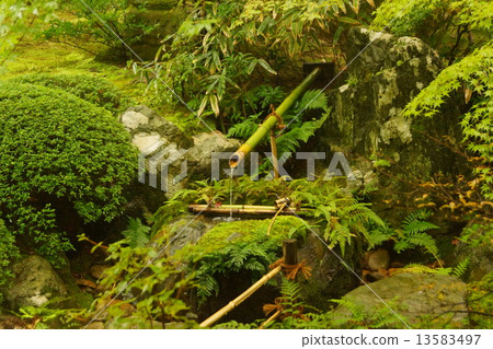 Shioshi Odoshi 13583497