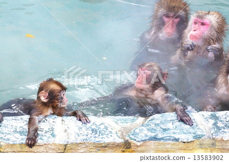 I love hot springs I love hot springs 13583902