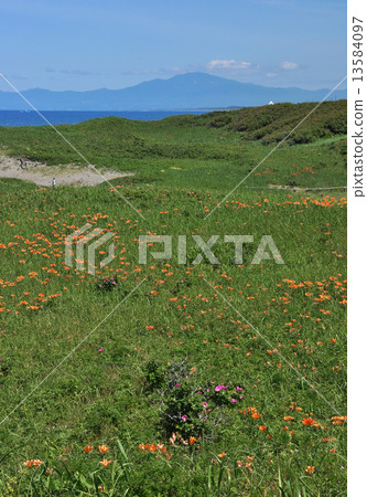 Koshimizu Primary Garden 2 13584097