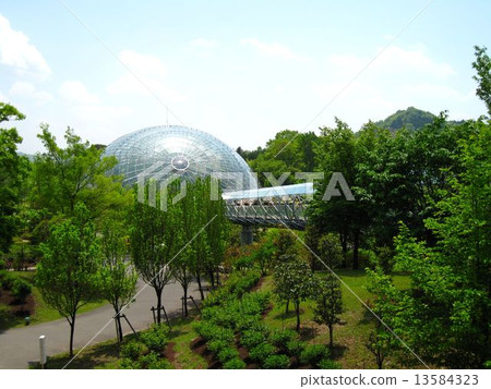 Totally flowered corridor Totally flowered corridor 13584323