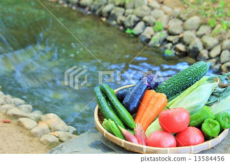A cool summer vegetable platter 13584456