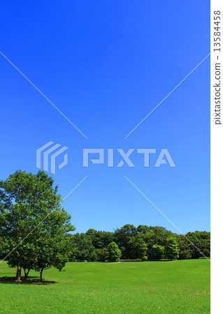Summer sky of fine weather Fresh green square 13584458