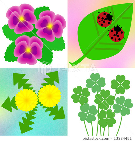 蝴蝶花和瓢蟲和蒲公英和四片葉子三葉草 13584491