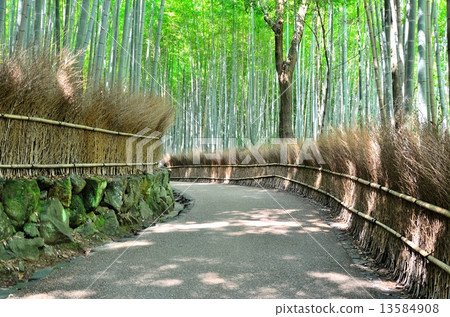 Sagano竹林路 Sagano竹林路 13584908