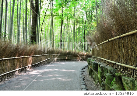 Sagano竹林路 Sagano竹林路 13584910