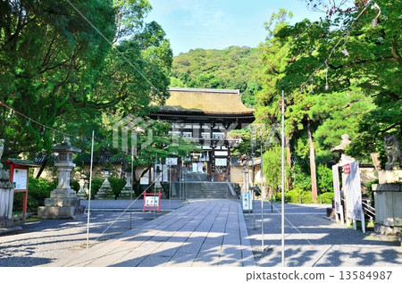 Matsuo Taisha Shrine 13584987