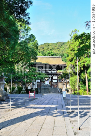 Matsuo Taisha Shrine 13584989