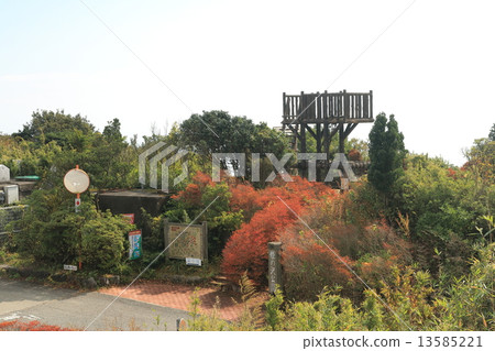 Hime nozawa Park 13585221