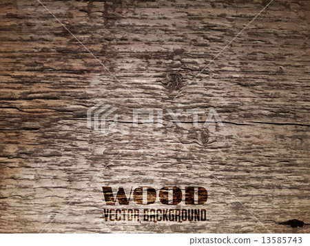Vector Old Wood Texture Vector Old Wood Texture 13585743