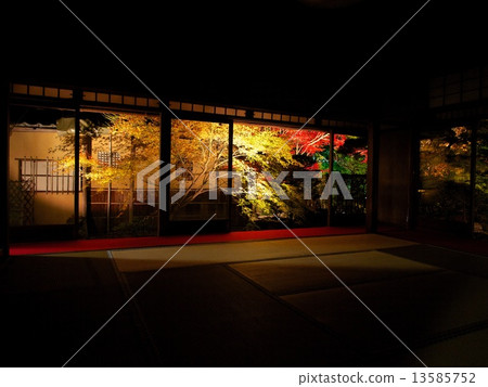 南禪寺 - 秋葉亮起 南禪寺 - 秋葉亮起 13585752