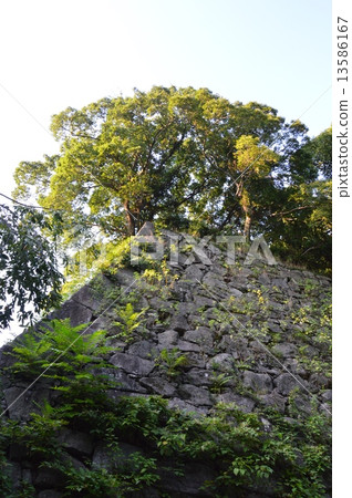 福岡城的石垣（水門附近和福岡市福岡市中央區） 13586167
