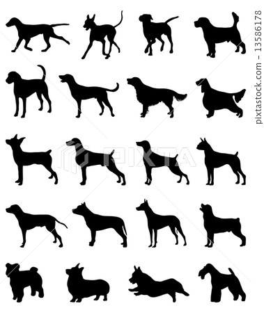 dogs 2 13586178