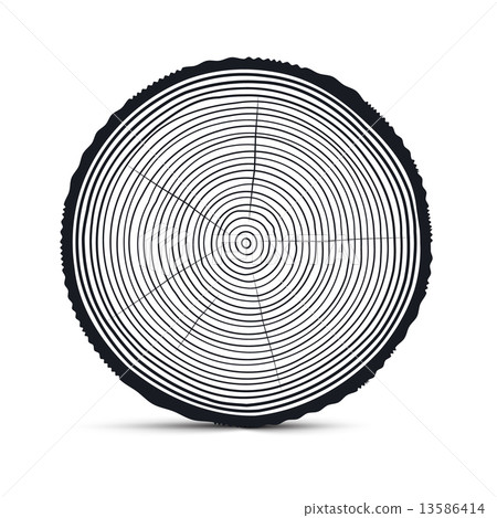 Tree Rings Vector Tree Rings Vector 13586414