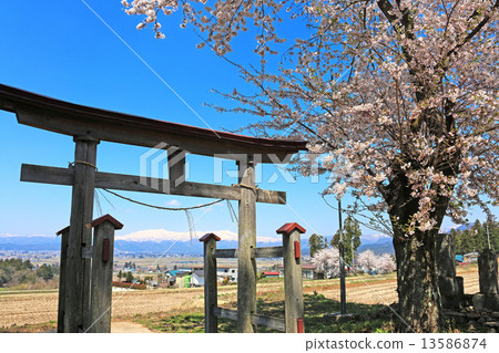 Torii and Iide Fumen 13586874