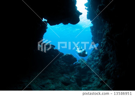 Free Diver Free Diver 13586951