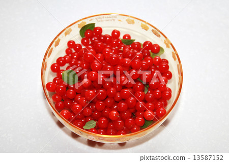 尤魯拉的紅色水果 尤魯拉的紅色水果 13587152