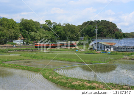 Running near the plain, Shinano Train 169 series Running near the plain, Shinano Train 169 series 13587347