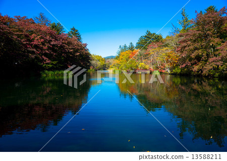 Kumonba池塘 13588211