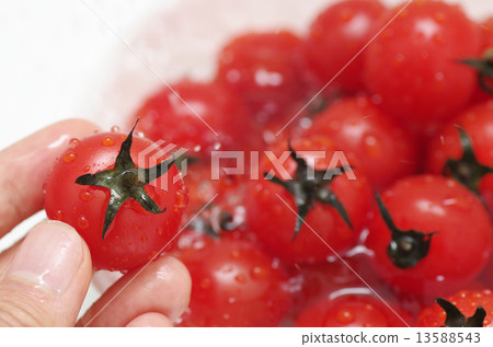 Washing hands and fresh mini tomatoes 13588543
