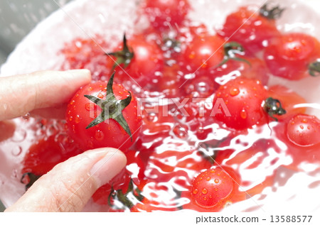 Washing hands and fresh mini tomatoes 13588577