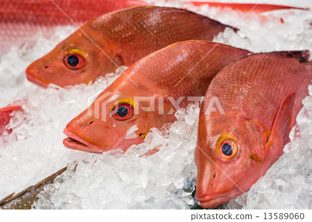 fresh fish at a fish market 13589060