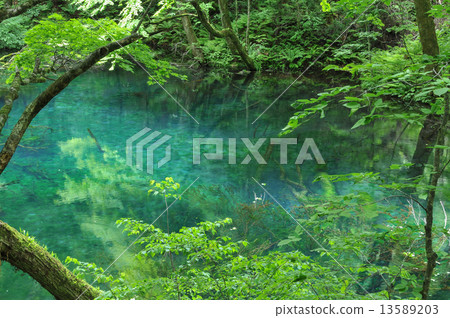 煮沸的池塘 13589203