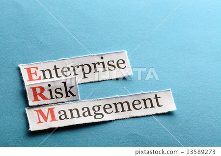 ERM abbreviation 13589273